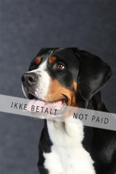 132082_le_ 01_IMG_0032.JPG