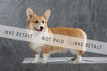 130054_le_ 01_0308.JPG