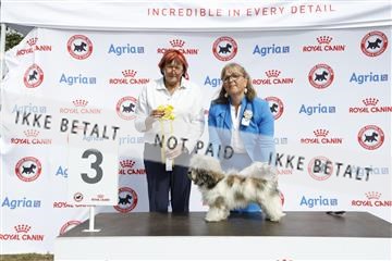 181848_kar_01__62_3835.JPG