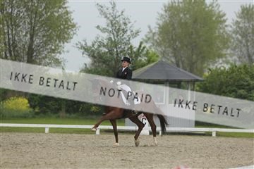 139835_sg_02_IMG_8976.JPG