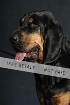 132082_le_ 01_IMG_0838.JPG