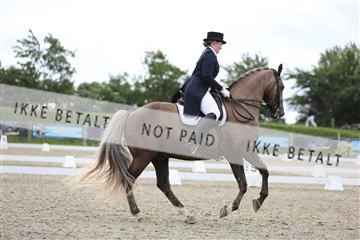 156196_nn_01_IMG_5365.JPG