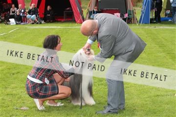 130370_tl_01_IMG_7000.JPG