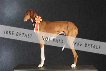 132082_le_ 01_IMG_0069.JPG