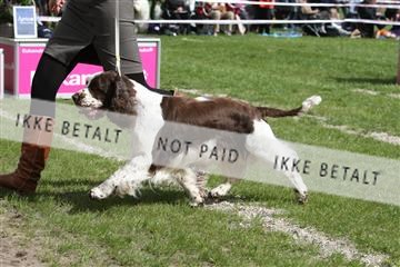 134871_ms_04_IMG_0688.JPG