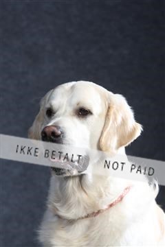 132082_le_ 01_IMG_0320.JPG