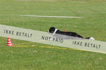 130370_tl_02_IMG_7825.JPG