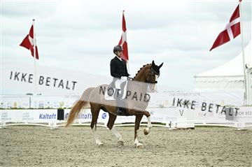 181449_kbb_03_Z092189.JPG