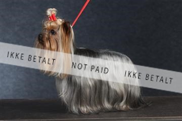 132082_le_ 01_IMG_0368.JPG