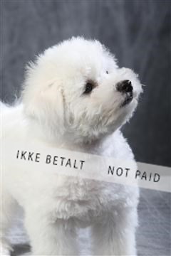 129608_le_ 01_0560.JPG