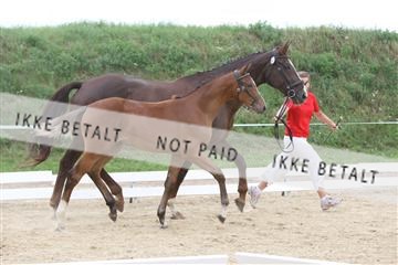 125406_sc_01_IMG_1779.jpg