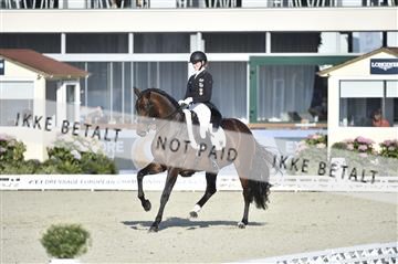 169586_kuo_08__D4S4337.JPG