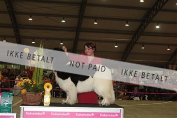126168_se_02_IMG_0440.JPG