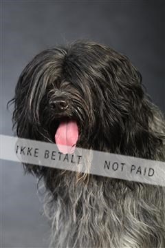 132082_le_ 01_IMG_0975.JPG