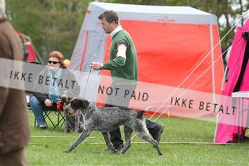 134871_ms_04_IMG_9981.JPG