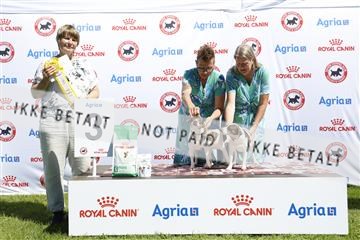 181564_ch_01__62_8792.JPG