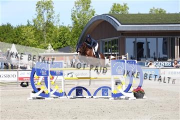 181436_avh_02_3910.JPG
