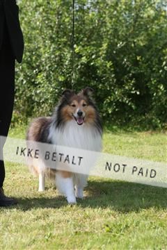 130370_se_03_IMG_7936.JPG