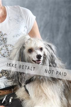 129608_le_ 01_0151.JPG