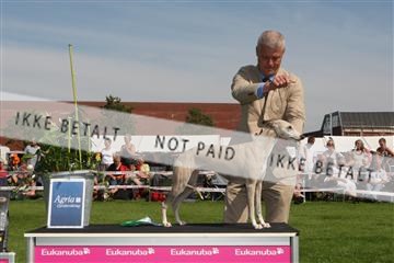 130370_se_02_IMG_6357.JPG