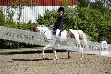 139815_ms_01__MS27084.JPG