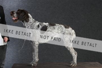 132082_le_ 01_IMG_0511.JPG