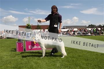 130370_se_03_IMG_7466.JPG