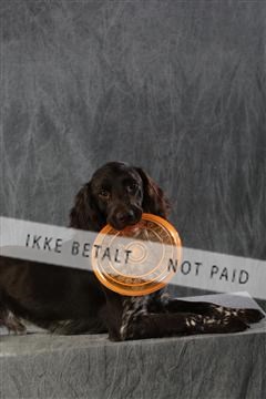 128239_le_kort_ 01_0049.JPG