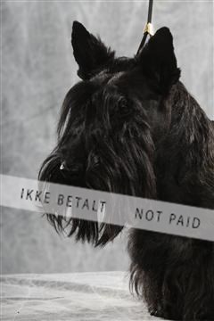 129608_le_ 02_0114.JPG