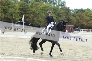 181923_mtp_03_R62_7654.JPG