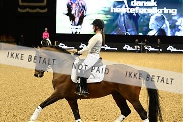 173966_jbr_02_JBR_2571.JPG