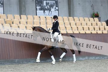 181852_mtp_02_R62_1799.JPG