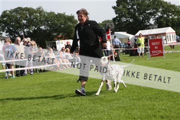 130370_se_02_IMG_6643.JPG
