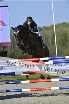 139644_abo_02__AB14624.JPG