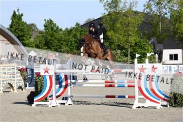 181436_avh_01_3078.JPG