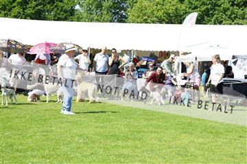 181564_kar_01__62_7868.JPG