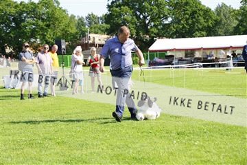 181564_kar_01__62_8304.JPG