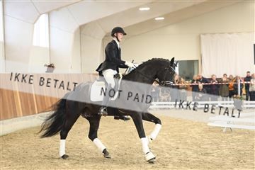 174363_kbb_01_R6II8285.JPG