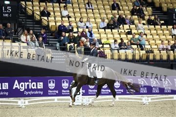 182194_mlm_02_R62_0412.JPG