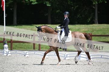 176255_mtp_01_Z09_0684.JPG