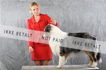 129608_le_ 01_0861.JPG