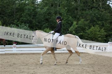 156196_nn_01_IMG_6448.JPG