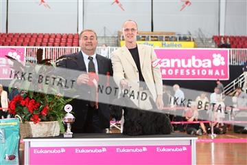 6068_ma_07_IMG_6959.JPG