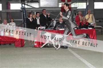 135379_tl_02_IMG_9649.JPG