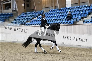 182241_kbb_01_Z094492.JPG
