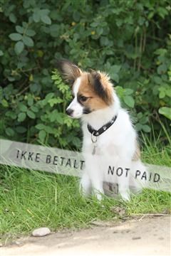 130370_se_01_IMG_5327.JPG