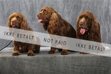 129608_le_ 01_0752.JPG