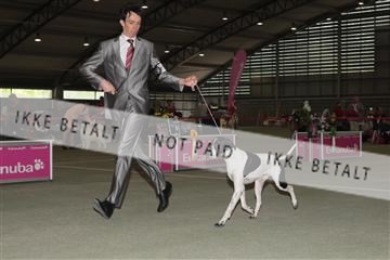 135379_tl_02_IMG_9690.JPG
