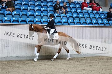 181887_mtp_04_R62_8262.JPG