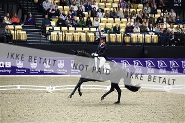 182194_avh_05_2627.JPG